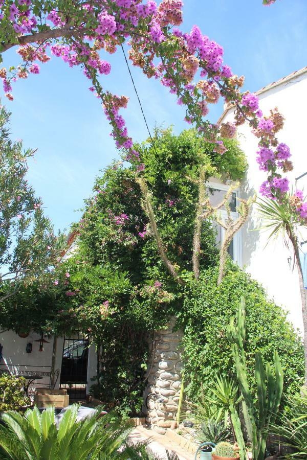 Appartement Dans Quartier Calme Avec Jardin Pour 2 Pers Argeles-sur-Mer Exterior photo